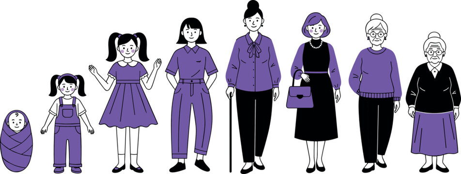 Female life cycle vector illustration showing woman growth stages from baby to elderly age representing aging process and generations in flat cartoon style isolated on white background