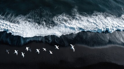 Waves and birds at the beach shore