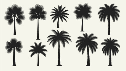 Tropical Palm Tree Silhouettes Collection: Black Vector Set for Summer and Beach Designs
