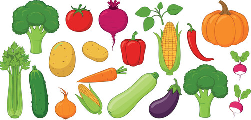 Fresh vegetables vector set with broccoli, pumpkin, corn, carrot, tomato and eggplant illustrations for healthy food and organic farming design in flat cartoon style isolated on white background