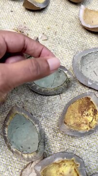 Fungus contaminated dried coconut showing aflatoxin risk, unsafe coconut oil production warning. vertical video