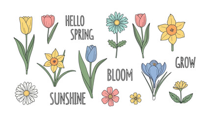 Springtime Floral Collection: A charming collection of vibrant flowers and motivational words like hello spring, adding a touch of cheer and seasonal flair. © Maira
