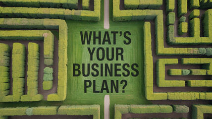 Top down aerial view of green hedge maze with text "WHAT'S YOUR BUSINESS PLAN?" in center
