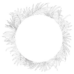 Palm leaves on a round frame, black and white sketch. Vector illustration. Tropical tree leaves isolated on white background. Green lush wildlife plants and fresh jungle foliage.