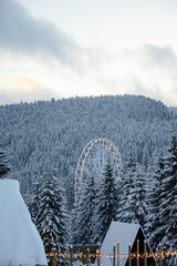 Snow-covered fir trees in the mountains viewed from an observation point, winter alpine landscape with frosty forest and scenic panoramic nature.