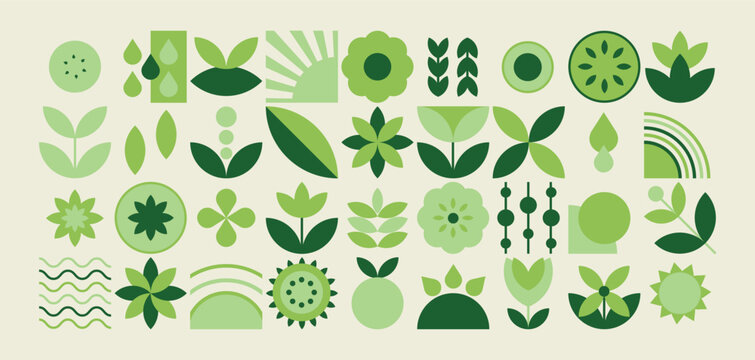 Set of nature geometric shapes. Nature geometric pattern with plants and nature shapes and in flat design.
