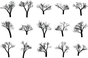 Set of leafless winter tree silhouettes with fine branching detail isolated on white background perfect for landscape composition, seasonal artwork, forestry themes and botanical design
