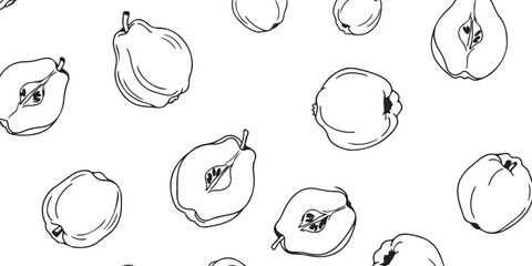 Seamless pattern of quince fruit illustrations on a white background