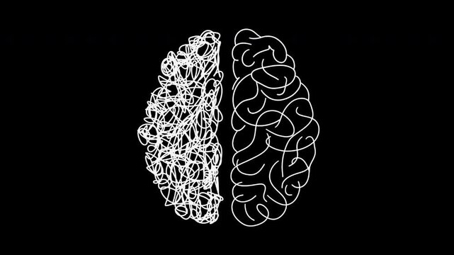 Human brain abstract white line art animation on transparent background. Alpha channel. A conceptual seamless looped animation. For educational videos, medical presentations and psychological content.