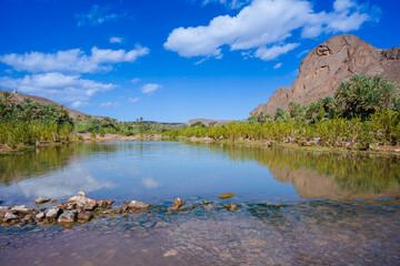 Serene oasis landscape with clear blue sky, calm water, lush greenery, and rocky mountains. Ouarzazate, Morocco