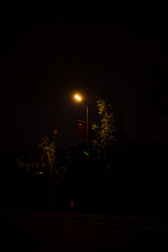 A streetlight illuminates trees and a dark road at night with a faint, moody ambiance. Chengdu, Sichuan, China