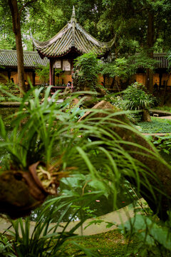 Traditional pagoda surrounded by lush greenery and a serene pond in a tranquil garden. Chengdu, Sichuan, China