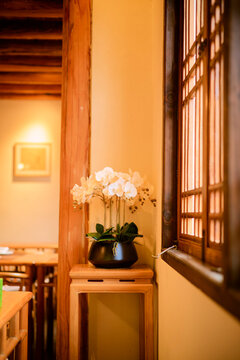 Elegant interior with orchids near wooden window in warm light setting. Trip from Guilin to Chengdu, Guangxi, Sichuan, China