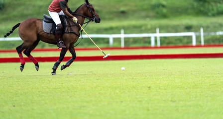 Polo player riding a dark brown horse, striking a white ball with a mallet during a fast-paced polo...