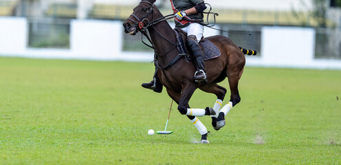 Polo Player Striking Ball on Galloping Horse