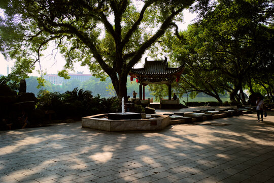 Tranquil park scene with a pagoda, trees, and a small water feature under dappled sunlight. Trip from Guilin to Chengdu, Guangxi, Sichuan, China
