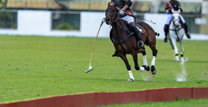 Polo player in green jersey riding a dark brown horse, striking a white ball with a mallet during a fast-paced polo match on a manicured grass field.