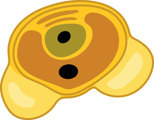 Pollen grain of gymnosperm with two sac wing isolated on white background