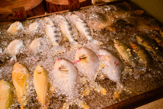Fresh fish on ice displayed at a seafood market stall with various species visible. Hongkong, China
