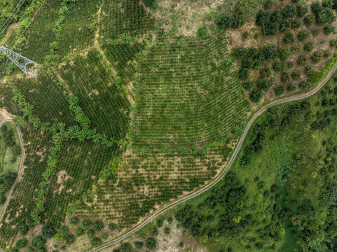Aerial view of lush agricultural fields with diverse patterns and surrounding greenery. Santander, Colombia