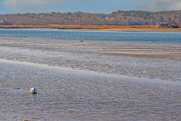 winter landscape with a lake