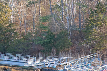 reflection of trees on the river
