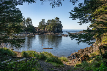 A serene coastal landscape with trees framing a rocky shoreline and distant blue sea. Ucluelet, British Columbia, Canada