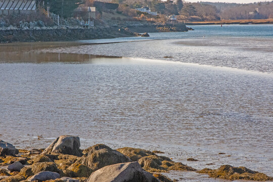 the river in the winter