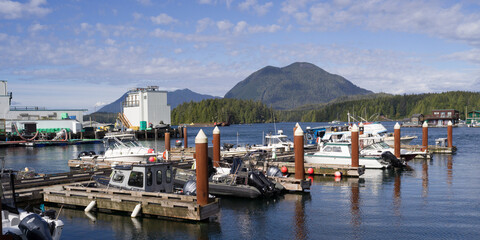 Boats docked in a serene marina with distant forested mountains under a partly cloudy sky. Tofino, British Columbia, Canada