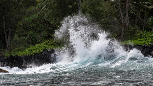 Waves crashing against rocky shore with lush green forest in the background. Haiku, Hawaii, USA
