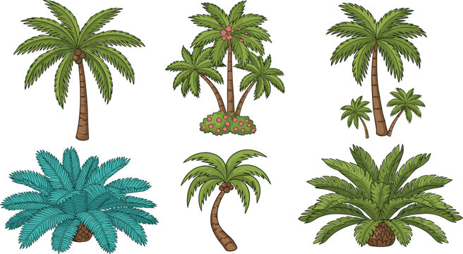 Set of hand drawn tropical palm trees and exotic cycad plants isolated on white background for summer vacation beach design