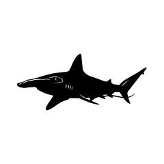 Fototapeta premium Silhouette of a Hammerhead Shark swimming in the ocean, a majestic marine predator.