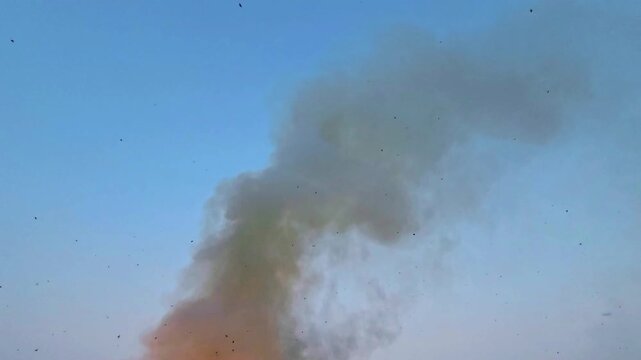 Burning sugarcane fields after harvest produces smoke. Some birds "smoke bathe" as self-medication for parasites. Raptors also use the fires to hunt prey fleeing the flames, also harmful for birds.