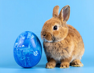 Brown bunny facing painted blue egg. Adorable brown rabbit looking at a blue hand-painted Easter egg on a pastel blue background. Festive spring composition with clean studio aesthetics.