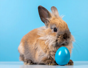 Fluffy bunny resting with blue egg. Fluffy young rabbit resting beside a glossy blue Easter egg on a light blue background. Soft spring atmosphere with gentle studio lighting.