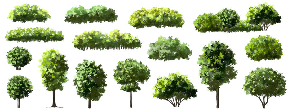 Vertor set of green tree,plants side view for landscape elevations,element for backdrop,eco environment concept design,watercolor greenery scene,shrub