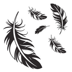 Obraz premium Silhouette of feathers