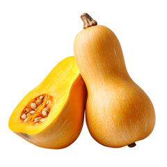 Butternut squash Isolated on transparent background