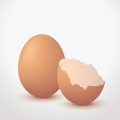 Broken Eggshell Vector With Whole And Cracked