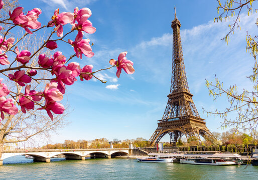 Eiffel Tower and Pont d'I&eacute;na bridge over Seine river in spring, Paris, France