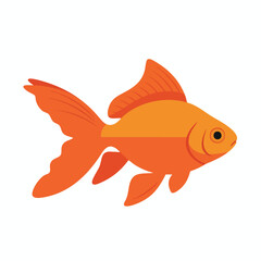 Vibrant Orange Fish Illustration