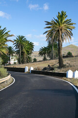 Lanzarote, valley of a thousand palm trees © janvier