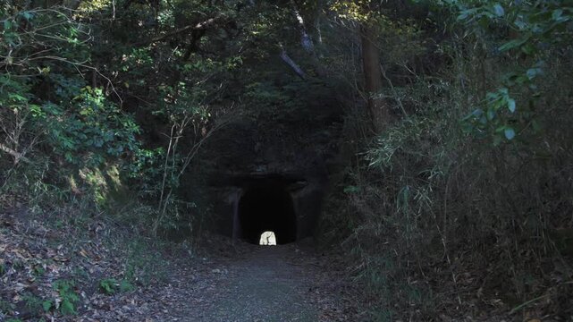 cave in the forest