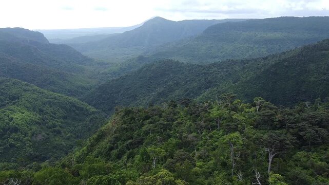 Aerial View of Lush Green Mountains and Valleys, Black River Gorges National Park, Curepipe, Mauritius