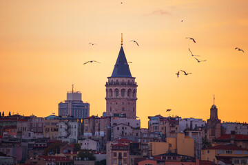 Obraz premium The Galata Tower and seagulls at dawn. Magnificent cityscape of Istanbul in the morning.