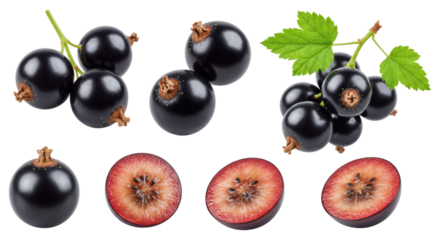 Fresh blackcurrants and halved berries with green leaves on a transparent background showing glossy whole fruits and detailed interior cross-sections