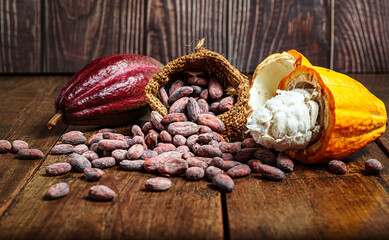 Cocoa bean in sack and fresh cacao pods on rustic wooden background
