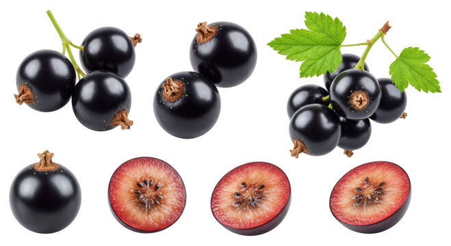 Fresh blackcurrants and halved berries with green leaves on a transparent background showing glossy whole fruits and detailed interior cross-sections