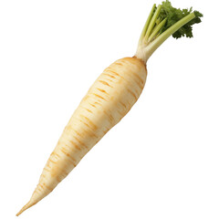 Fresh parsnip root with green leaves isolated on white transparent background