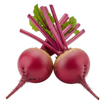 Fresh red beets with green leaves on transparent background high quality professional detailed modern elegant stylish